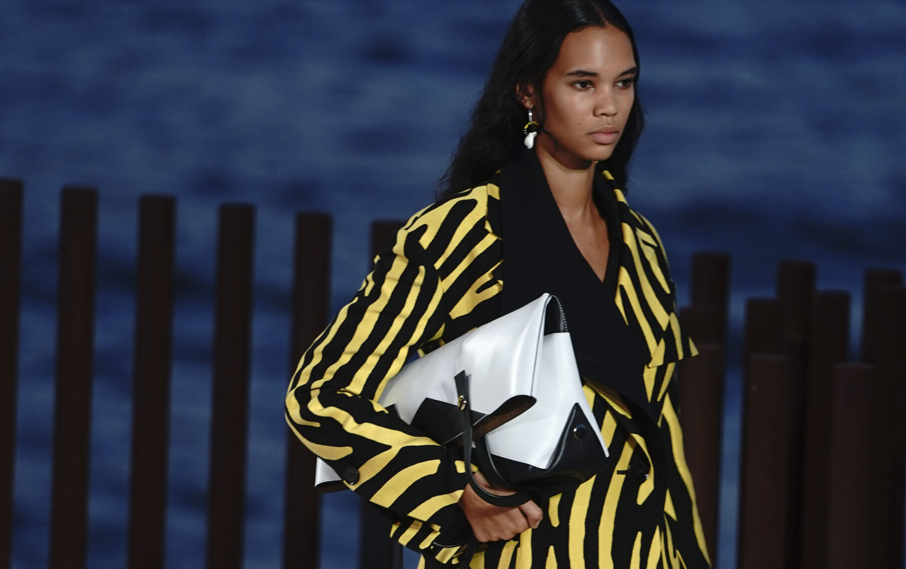 Fashion Proenza Schouler